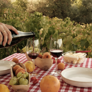 pique nique dans les vignes