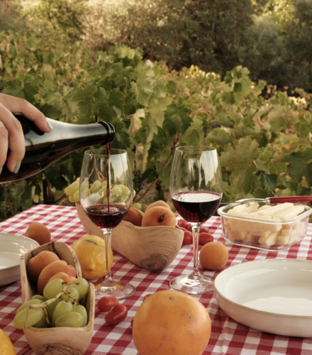 pique nique dans les vignes