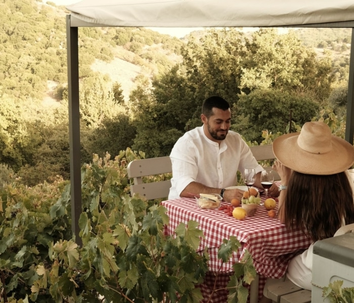 pique nique dans les vignes de crète