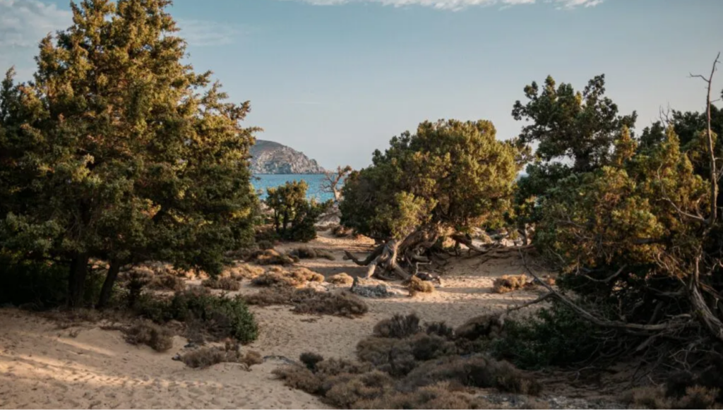 Nature et Activités de Plein Air à Chania